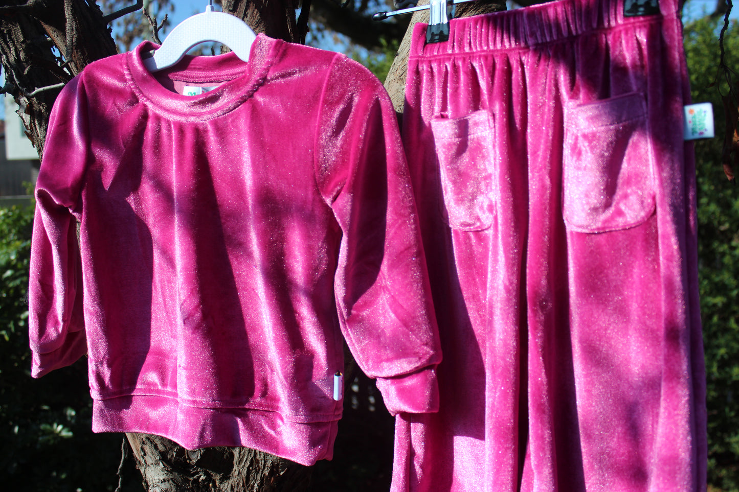 Pinky Plum Velour Set