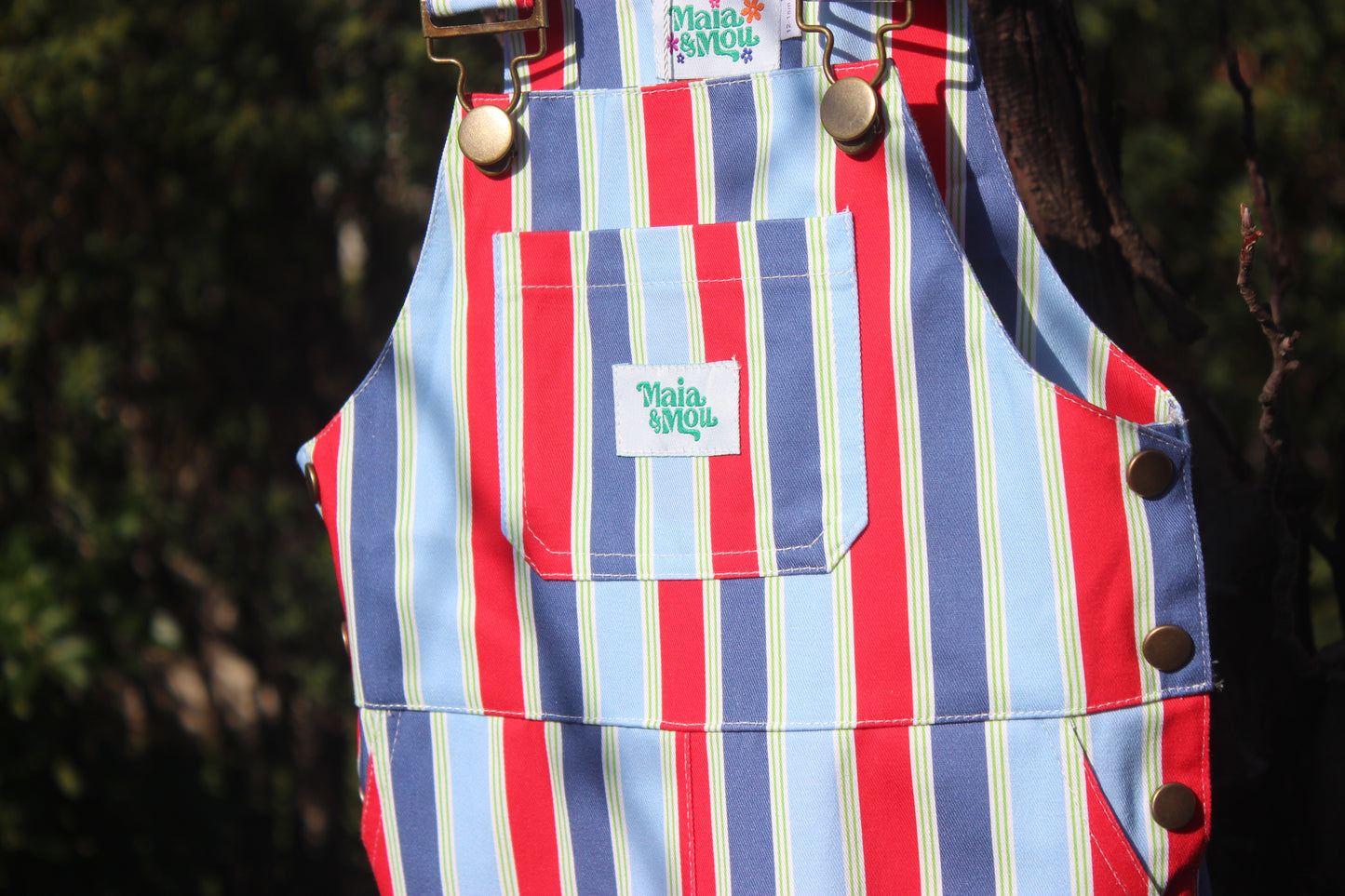Playground Parade Overalls