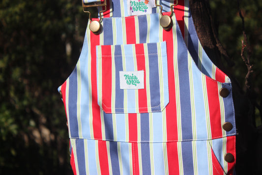 Playground Parade Overalls