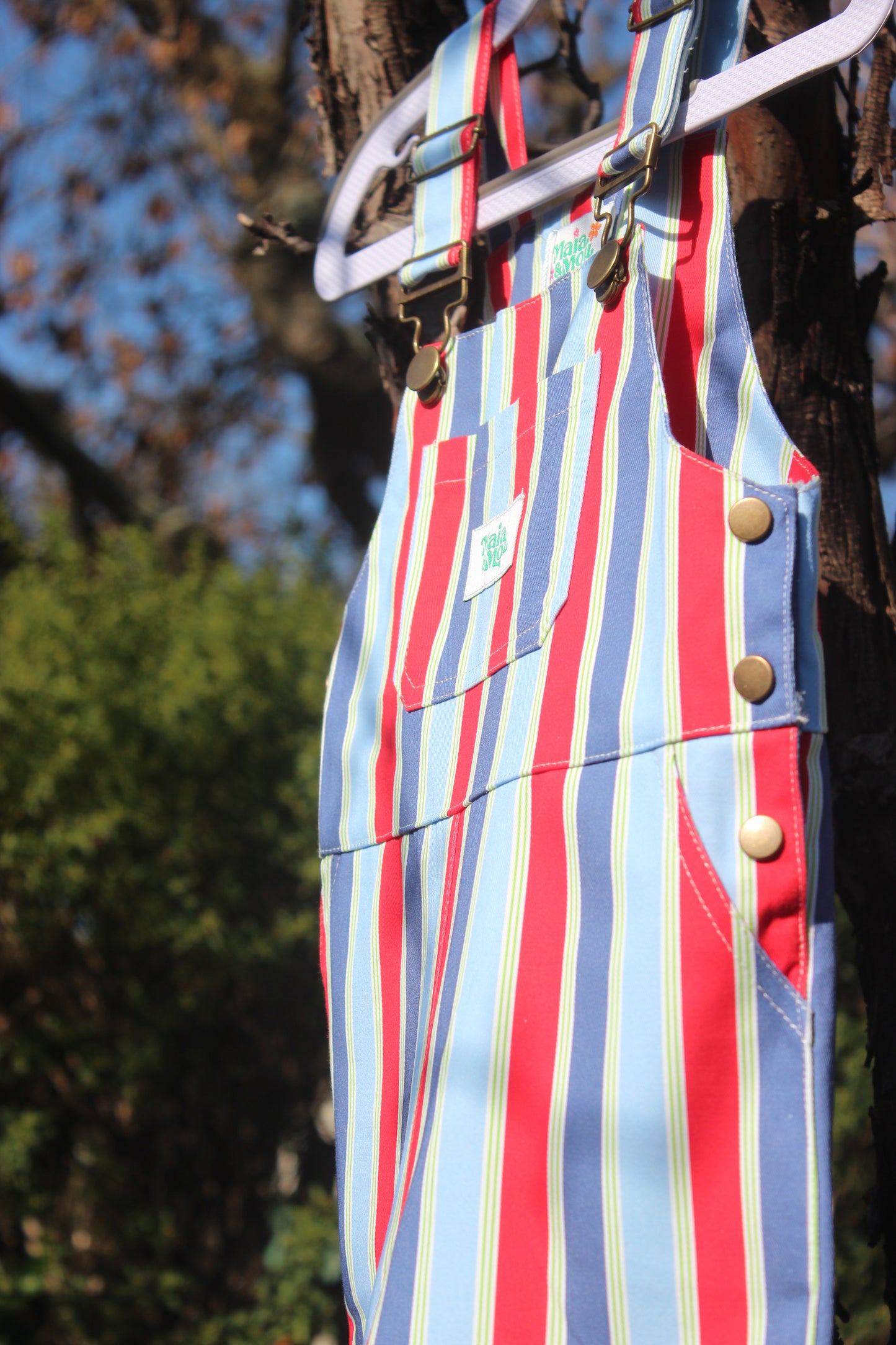 Playground Parade Overalls