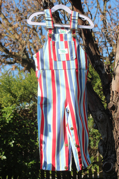 Playground Parade Overalls
