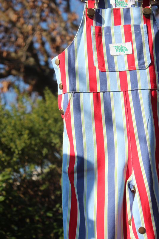 Playground Parade Overalls