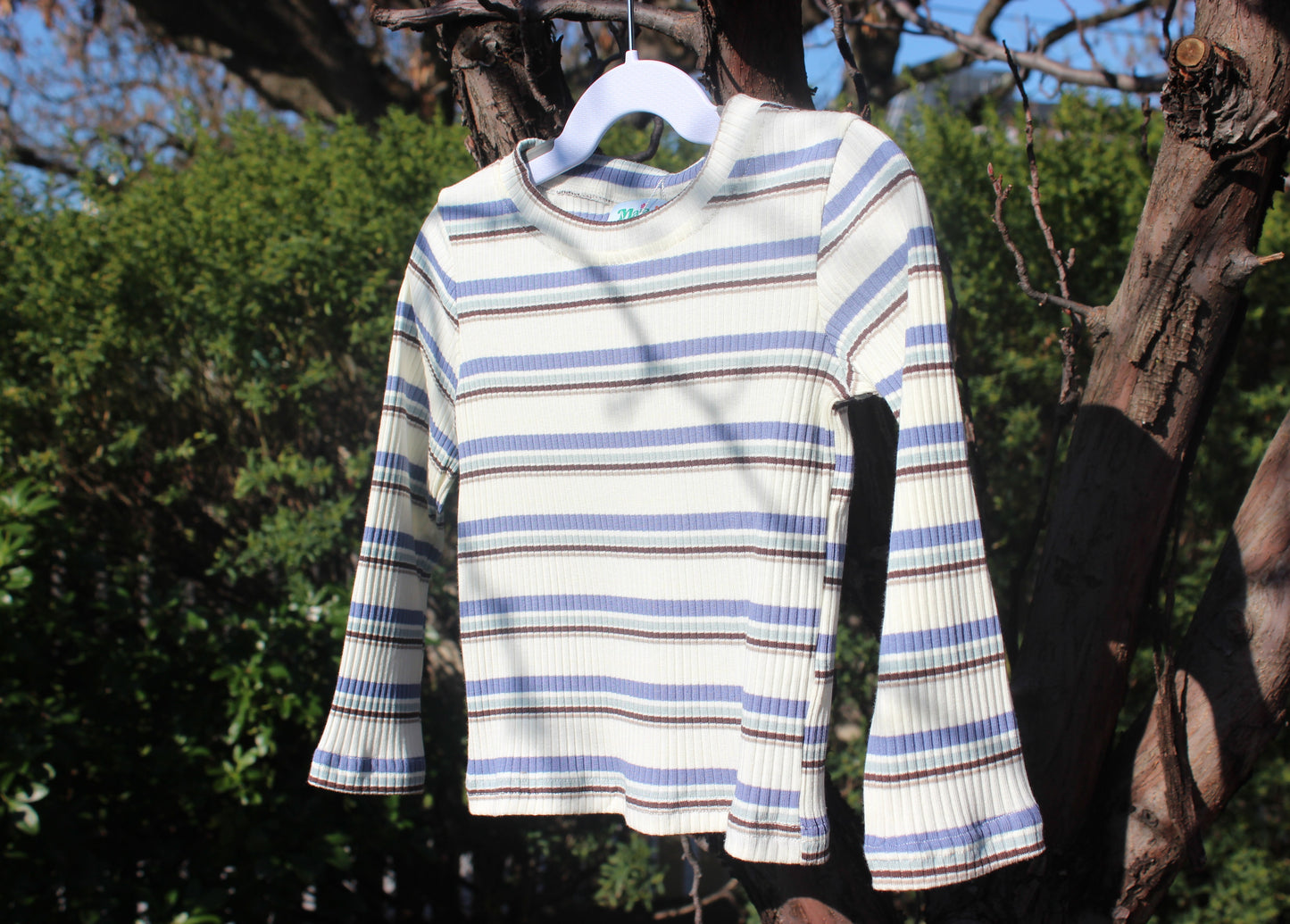 Blue & White Striped Longsleeve
